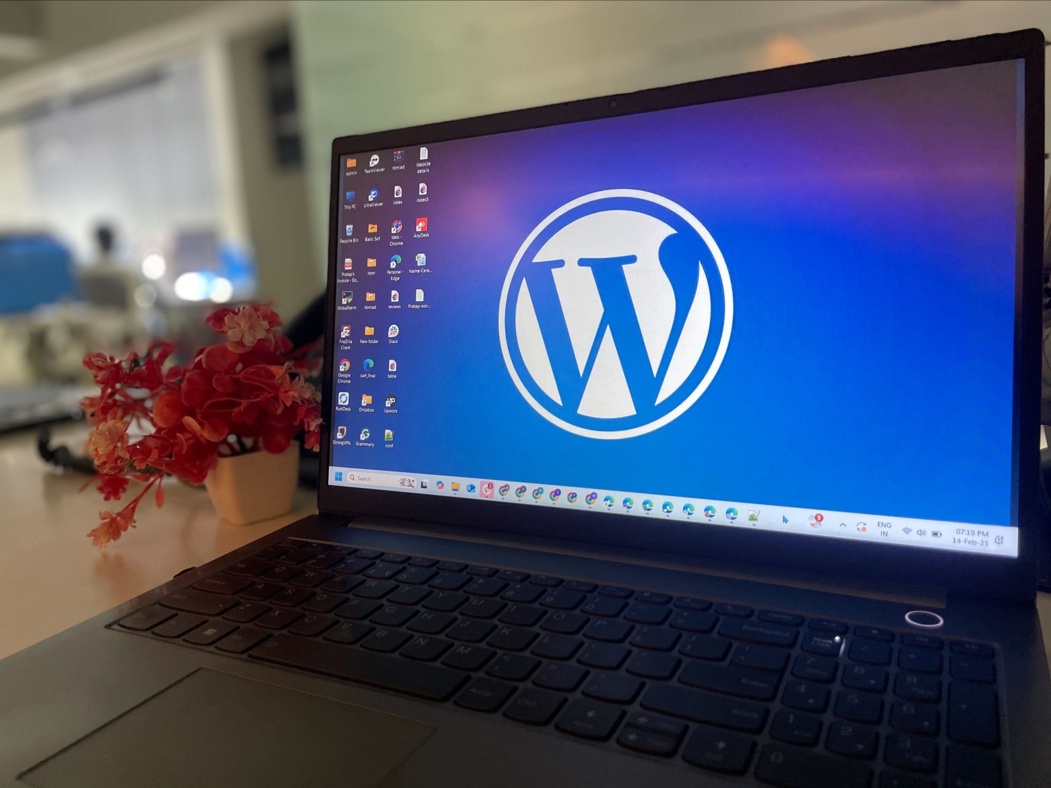A laptop displaying the WordPress logo beside a small flowering plant.